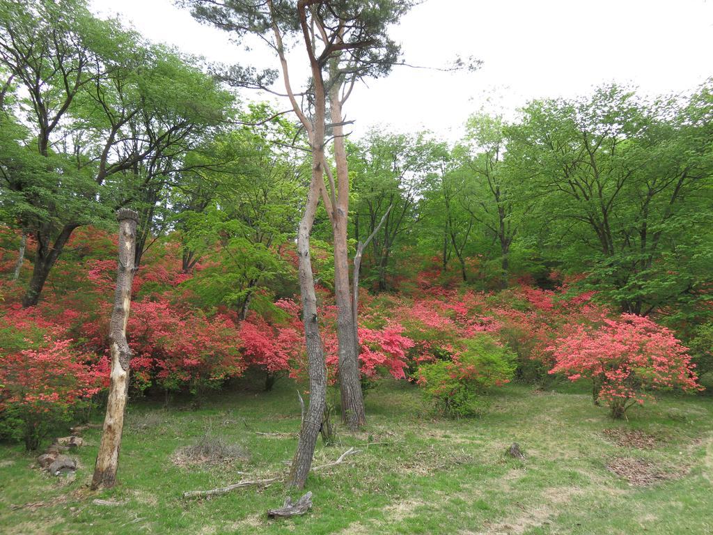 Nikko Pension L'Escale Kültér fotó